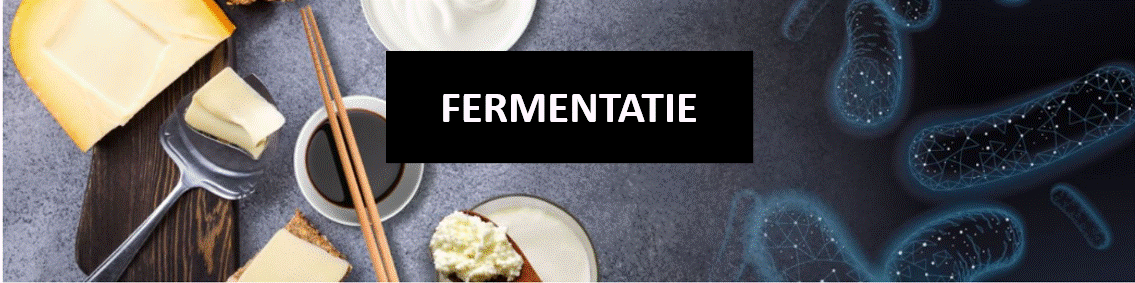 Fermentatie Meat&Friends Eiwit seminar 2025